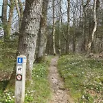 Lejlighed Hyggeligt