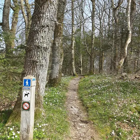 Lägenhet Hyggeligt Hus Pa Landet